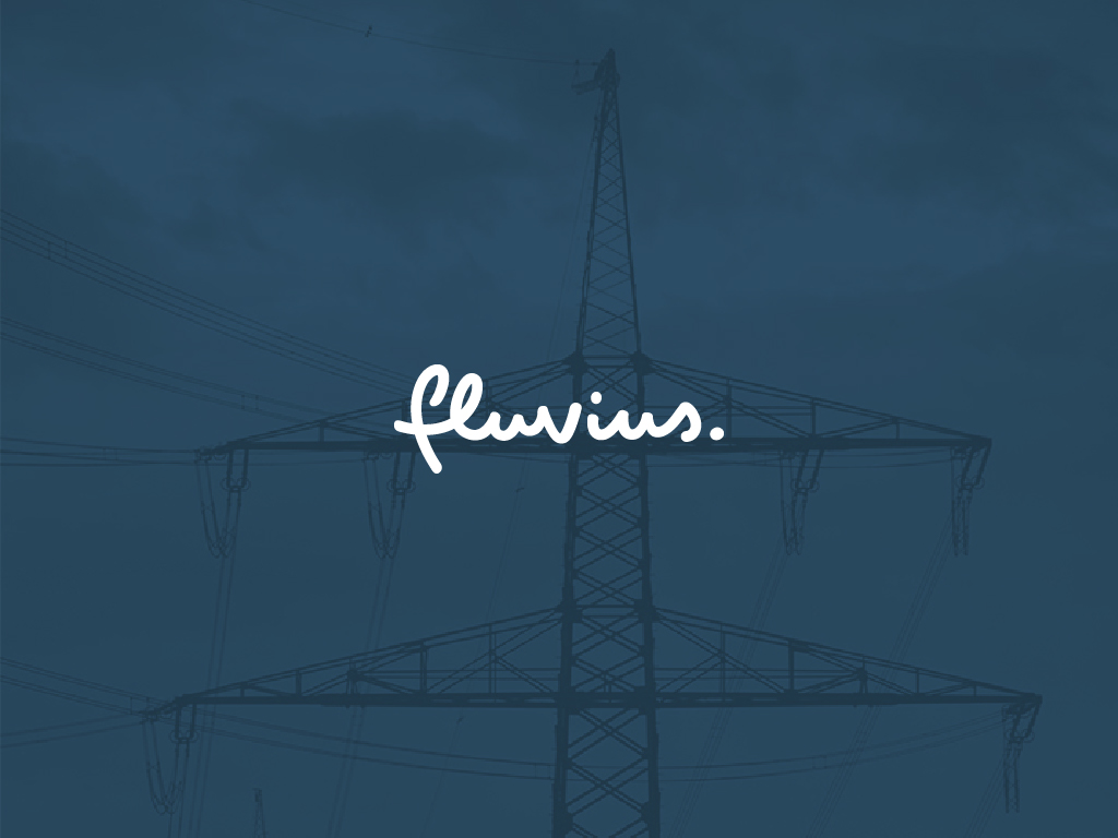 Read more about the article Fluvius